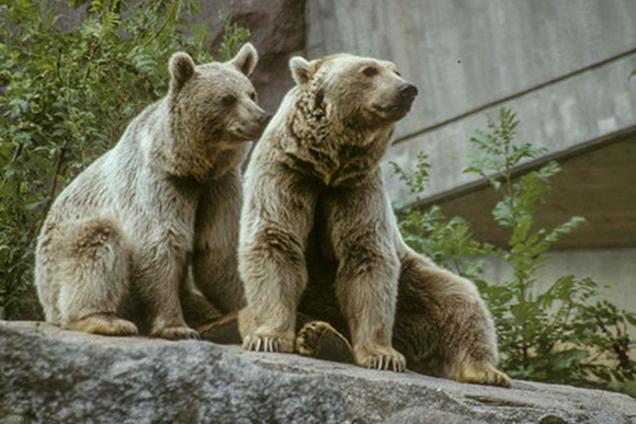 Ausflugsfahrt Zoo Wilhelma